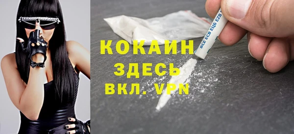 ECSTASY Гусь-Хрустальный