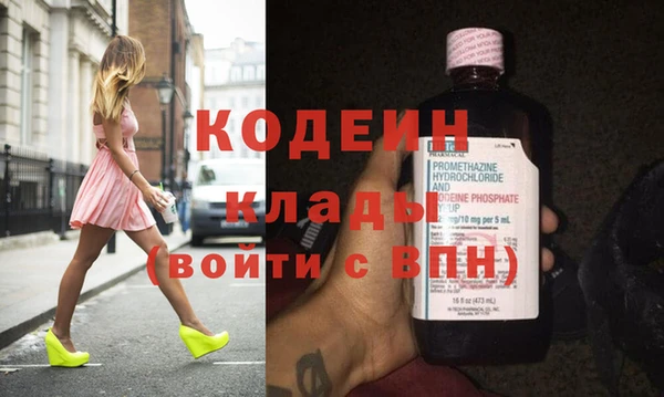 ECSTASY Гусь-Хрустальный