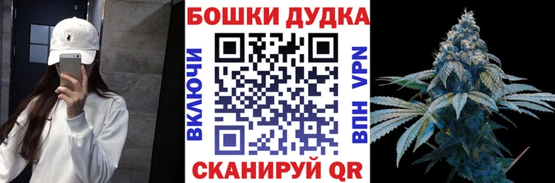 Бошки Шишки планчик  Николаевск 